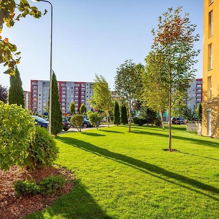 Apartment Richy בראשוב מראה חיצוני תמונה
