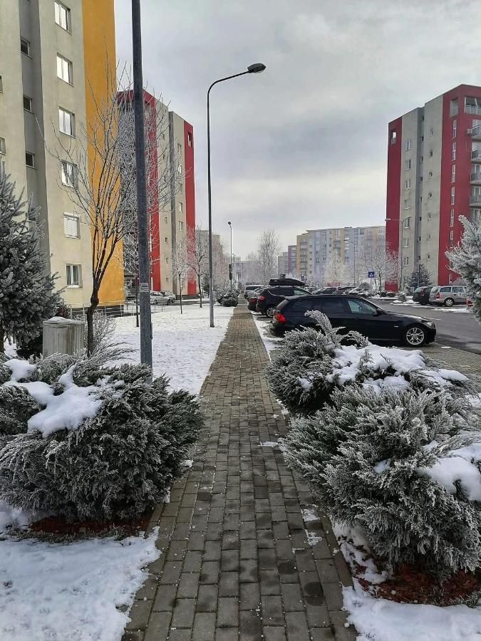 Apartment Richy בראשוב מראה חיצוני תמונה