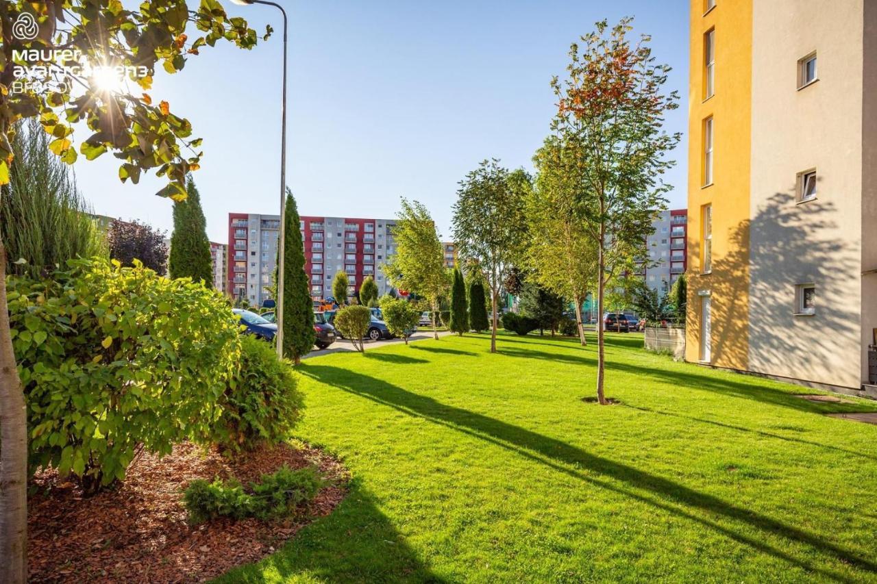 Apartment Richy בראשוב מראה חיצוני תמונה